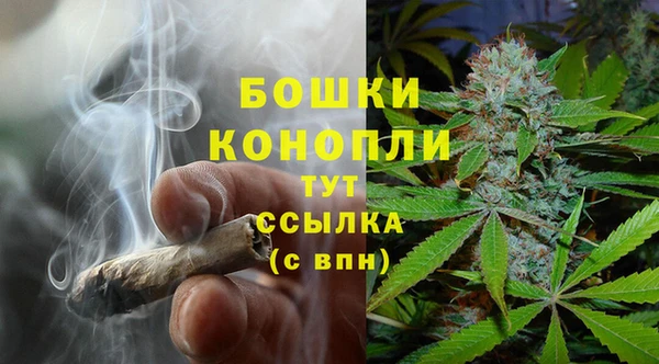 spice Абаза