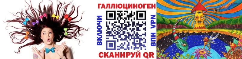 omg как зайти  Сысерть  Псилоцибиновые грибы Psilocybine cubensis 